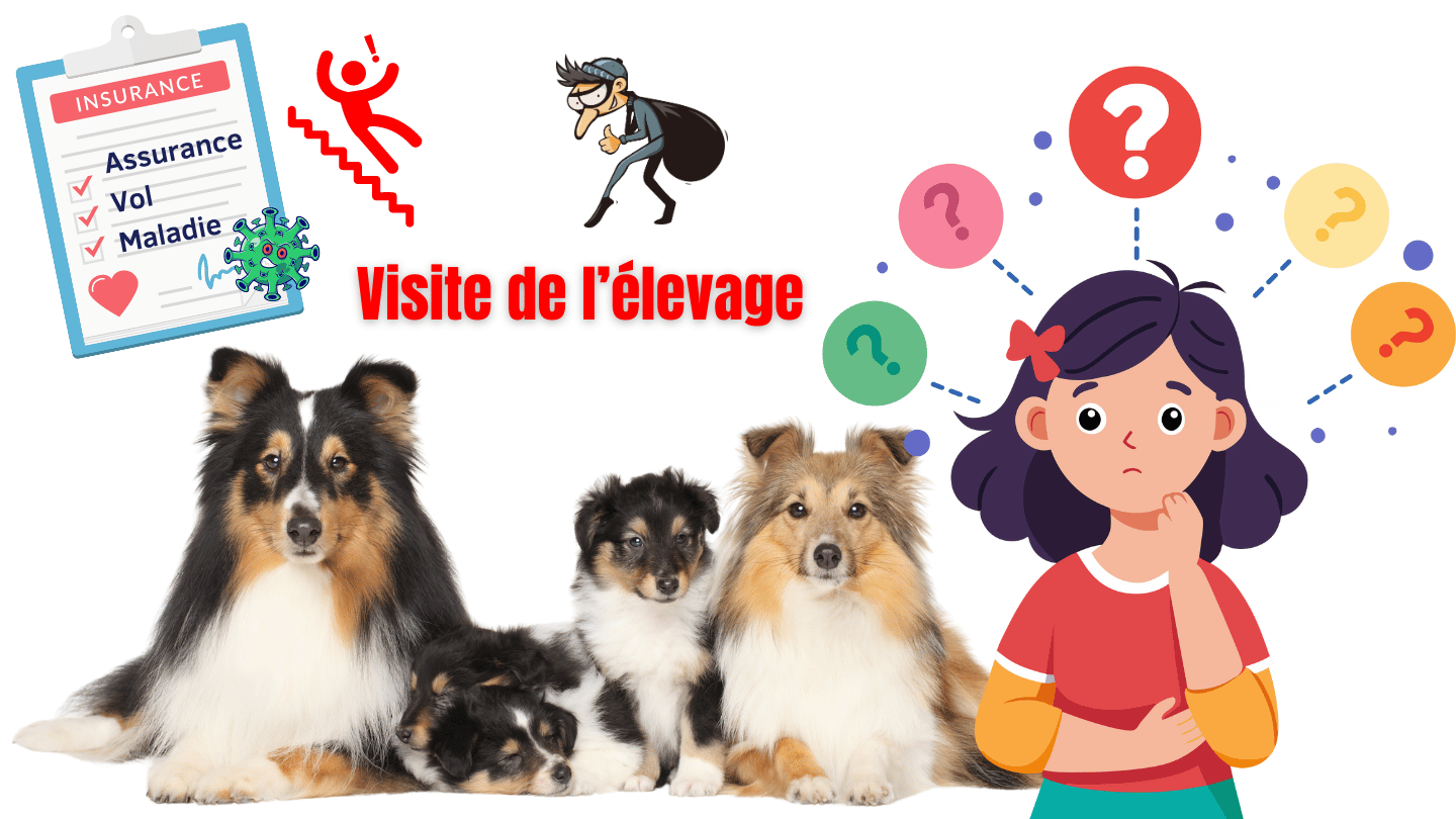 montage image représentant les risques d'une visite de l'élevage : assurances, vol, maladie