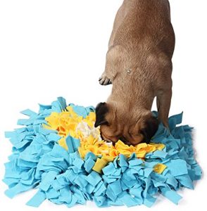 tapis de fouille