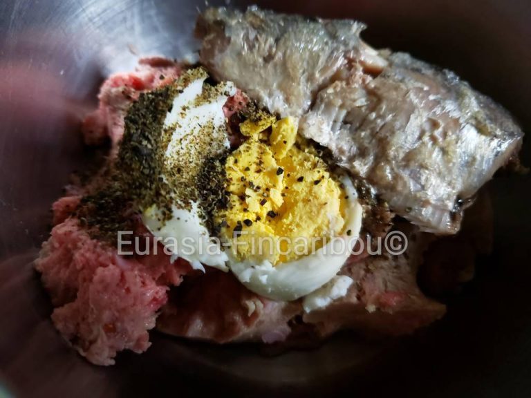 repas complet de cru pour chien
