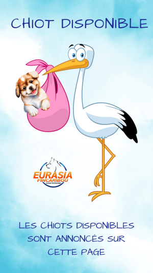 image d'une cigogne avec un chiot dans un baluchon